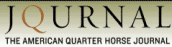 American Quarter Horse Journal logo